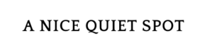 anicequietspot.com